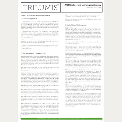 First page: General terms and conditions (German)