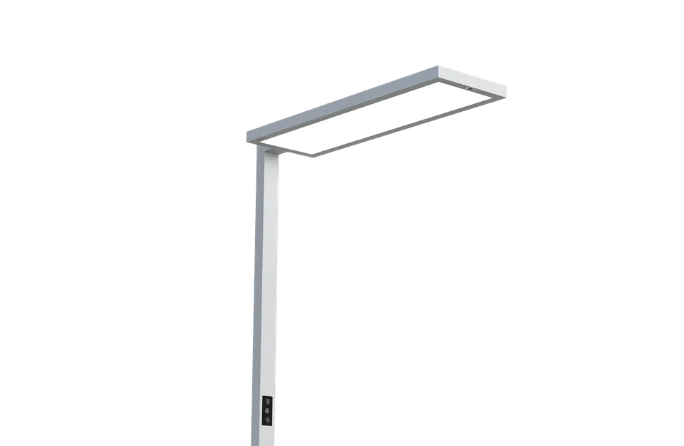 AULUS SL