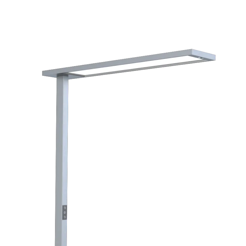 BRUTUS SL