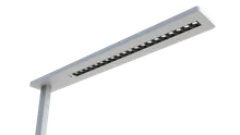 CAESAR SL-D2 Galeriebild 1