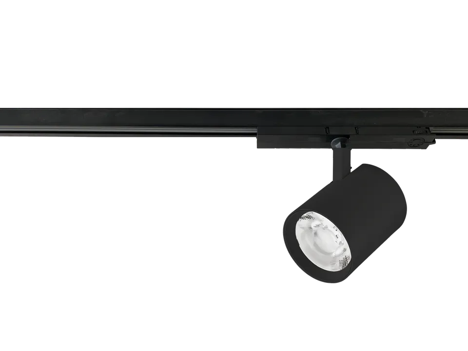 ARPI I90